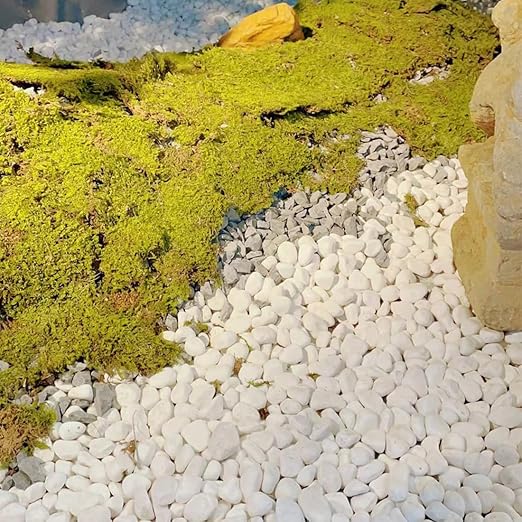 YISZM 40lbs White River Rocks for Landscaping, 2-3 Inch Natural Pebbles for Indoor Plants, Snow White Decorative Stones Garden Outdoor and Indoor DIY Vase Filler Fish Tank Aquariums