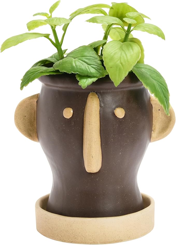 Creative Co-Op Stoneware Face Planter with Saucer, Brown & Cream Color, Holds 4" Pot