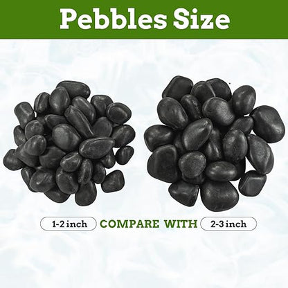 1-2 Inch River Rocks for Landscaping, 40lbs Big Black Pebbles, Hand-Picked Premium Stones for Garden Design, Fish Tank, Flower Pots