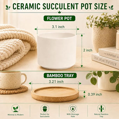 ZOUTOG Succulent Pots 3.15 Inch,4 Pack Succulent Planters,Small Pots for Plants with Drainage and Tray,White Ceramic Flower Planters for Indoor Plants,Home,Office,Desk