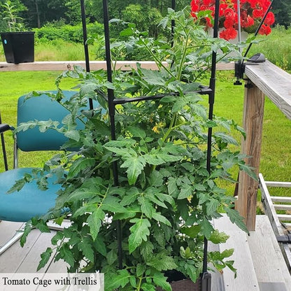 Tomato Planter with Trellis, 62" H Rolling Planter Box with Wheels & Water Reservoir, Self-Watering Raised Garden Bed for Climbing Plants, Tomato, Potato, Vegetables, Chili