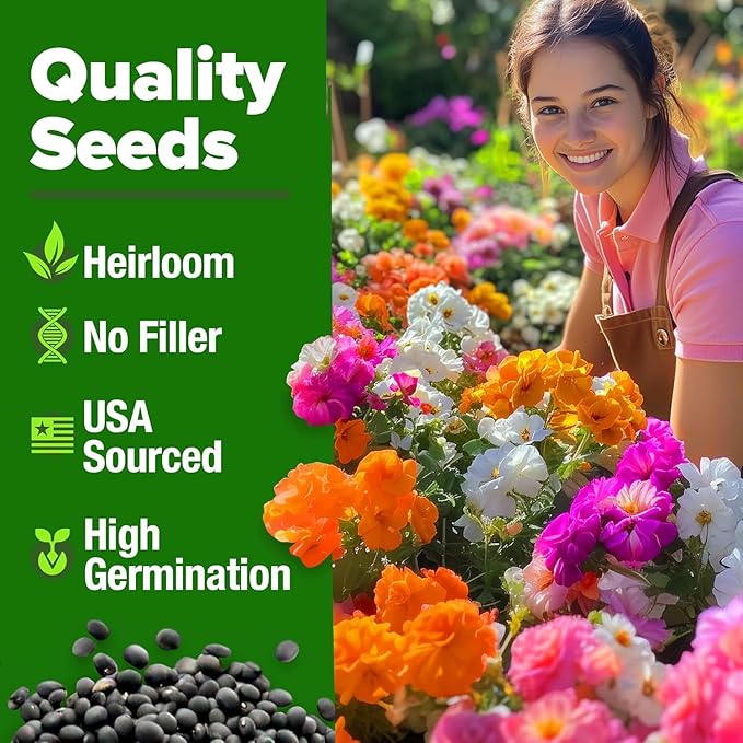 HOME GROWN Moss Rose Seeds 47,000+(Bulk Pack) Annual Flower for Ground Cover - Heirloom Non-GMO Portulaca Seeds for Planting Outdoors - Great for Low-Maintenance Gardens (Portulaca grandiflora)