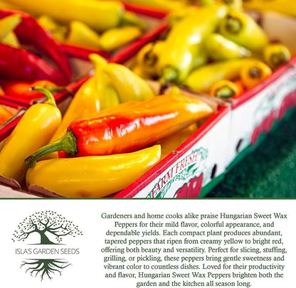 Hungarian Sweet Wax Pepper Seeds (Capsicum annuum) – 100+ Heirloom Non-GMO Seeds by Isla's Garden Seeds, Mild and Flavorful Peppers, Ideal for Fresh Eating, Pickling & Cooking, Great Gardening Gift