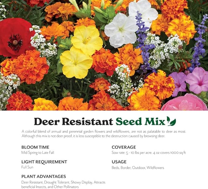 Grow Your Own Vibrant Annual and Perennial Wildflower Garden Seed Mixture, Varieties for Pollinators and Spring Gardens - Deer Resistant Mix, 10 lbs
