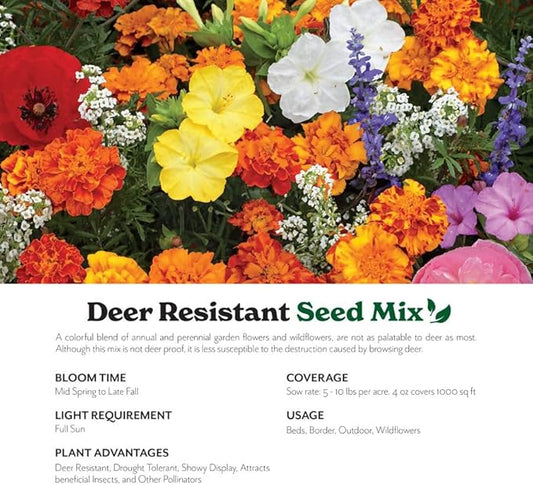 Grow Your Own Vibrant Annual and Perennial Wildflower Garden Seed Mixture, Varieties for Pollinators and Spring Gardens - Deer Resistant Mix, 10 lbs