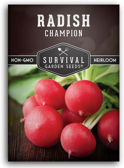Champion Radish Seeds for Planting – Fast Growing Heirloom for Spring & Fall Gardens – Large Round Red Radishes, White Flesh – Heat & Cool Weather Hardy – Survival Garden Seeds (1 Pack)