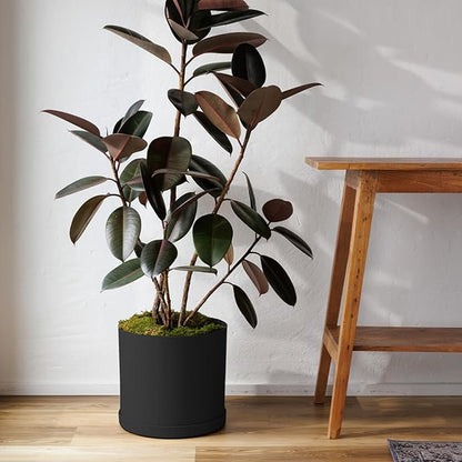 Bloem Mathers Round Planter with Saucer Tray: 12" - Black - Modern Design, Durable Plastic Pot, Removable Saucer, for Indoor & Outdoor Use, Gardening, 5.8 Gallon Capacity