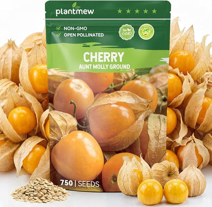 750 Heirloom Aunt Molly Ground Cherry Seeds for Planting – Sweet Husk Cherry, Pineapple-Like Flavor, High Germination, Ideal for Home Garden & Container