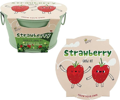 Buzzy Seeds Alpine Strawberry Grow Kit - Metal Windowsill Planter - Complete Indoor/Outdoor Gardening Kit with Seeds, Coconut Husk Growing Medium & Genuine Pots - 100% Grow Guarantee