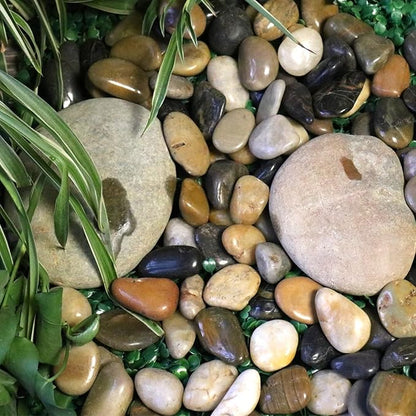 Rocks for Plants. Mixed Colors Decorative Polished Pebbles. 1 to 2 Inch – 10 lbs for Plants, Garden, Landscaping, Succulents, pots (MD (1 to 2 Inch), Mixed Color - Polished, 10)