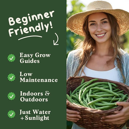 Seedboy Organic Green Bean Seeds for Planting Indoor and Outdoor, Non-GMO and USDA Certified Vegetable Seed Packet for Hydroponic Garden Indoor or Planting Outdoors (Provider Green Beans)