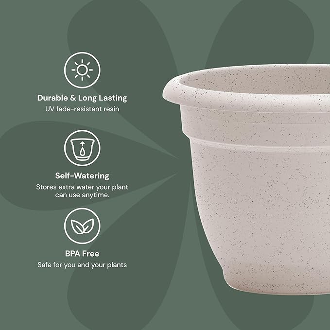 Bloem Ariana 12" Vanilla Bean Round Self-Watering Resin Planter Pot - Rolled Rim Indoor and Outdoor Gardening Planter