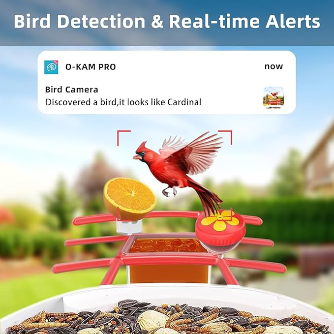 Uniter® 2.5K Smart Bird Feeder with Camera, 2.4G &5G WiFi, Solar Video Birds Feeder with AI Identify Birds Species, Live View, Capture Bird Video, Instant Arrival Alerts, Ideal Gift for Birdlover