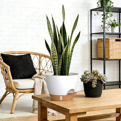 Self Watering Pots with Drainage Holes, 3 Pack 12/10/8 Inch Plant Pots with Water Level Indicator Deep Reservoir, Large Plastic Planter for Indoor Outdoor Plants - White Brown