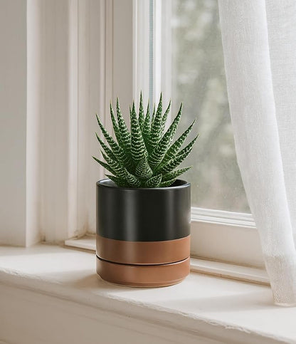 D'vine Dev Set of 2 Plants Pots, 4.7 Inch Ceramic Planter Pot for Plants with Drainage Hole and Saucer, Black/Speckled Tan, 94-V-B-7