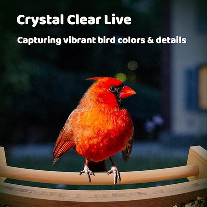 Birdfy Smart Bird Feeder with Camera&Metal Guard, Bamboo Wood Outdoor Design, AI Bird Recognition, 1080P HD & Night Vision, Solar Powered, Weatherproof, 3.5L Capacity, Ideal Gift for Nature Lovers