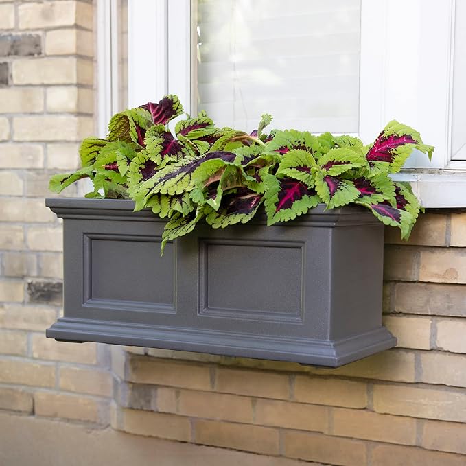 Mayne Fairfield 2ft Window Box, Self Watering Flower Box with Double Wall Design, All Season Fade Resistant Outdoor Window Planter with Steel Mounting Bracket, Graphite Grey