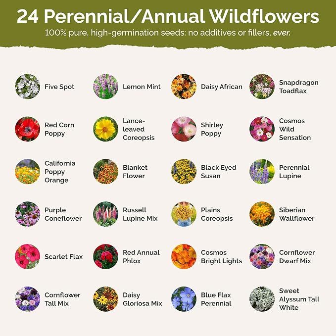 Eden Brothers West Virginia Wildflower Mixed Seeds for Planting, 1 oz, 30,000+ Seeds with Cornflower, Lupine | Attracts Pollinators, Plant in Spring or Fall, Zones