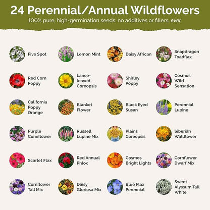 Eden Brothers Virginia Wildflower Mixed Seeds for Planting, 1/4 lb, 120,000+ Seeds with Five Spot, African Daisy | Attracts Pollinators, Plant in Spring or Fall, Zones