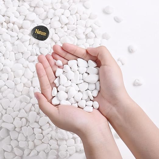 SIDONG 5 LB White River Rocks, 0.3-0.5 Inches Pebbles for Indoor Plants, Aquarium Rocks Used in Fish Tank, Decorative Stones for Plants, Vases, Home Décor, Crafting, Garden Landscaping