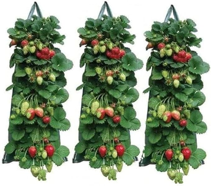 2024 Hanging Strawberry Planter - Upside-Down Patio Garden Tomato Grow Bags With Handle for Outdoor (3)