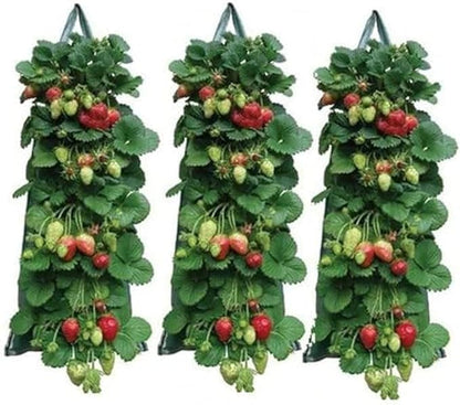 2024 Hanging Strawberry Planter - Upside-Down Patio Garden Tomato Grow Bags With Handle for Outdoor (3)