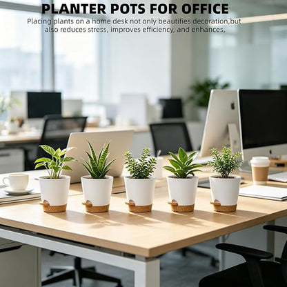 12 Pack 4 Inch African Violet Pots Self Watering, Self-Watering Planters with Drainage Holes & Reservoir, White Brown Plastic Pots for Indoor Outdoor Plants, Succulents & Flowers