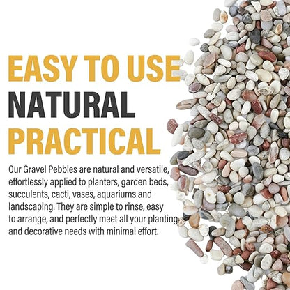 2.4lb Succulent and Cactus Gravel Pebbles, 1/5 Inch Mixed Color Natural Rocks for Fish Tank, Indoor Plants, Aquarium, Vases, Landscaping