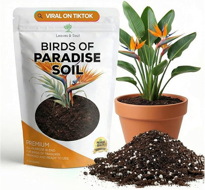 Professional Bird of Paradise Soil 8.2 Quarts Ready to Use, Premium Birds of Paradise Potting Soil for Indoor Plants, Peat Moss Coco Coir Perlite Dolomite, Well Draining Soil Made in USA