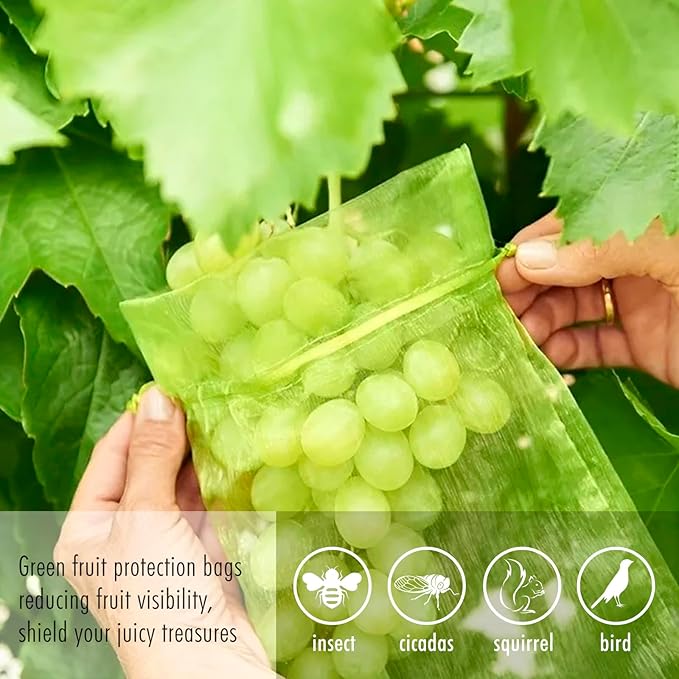 Fruit Protection Bags, Fetanten 100 PCS 6 x 8 Inch Mesh Drawstring Bag for Fruit Trees, Small Green Garden Fruit Plant Netting Cover Bag Protect Blueberry Tomato Apple Mango from Bird Insect Pest