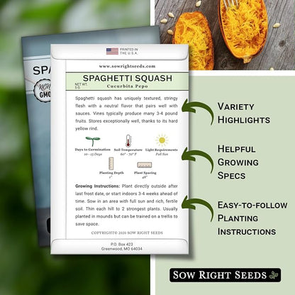 Sow Right Seeds - Spaghetti Squash Seeds for Planting - Non-GMO Heirloom Packet with Instructions to Plant and Grow an Outdoor Home Vegetable Garden - Roast and Enjoy Eating This Favorite Variety (2)