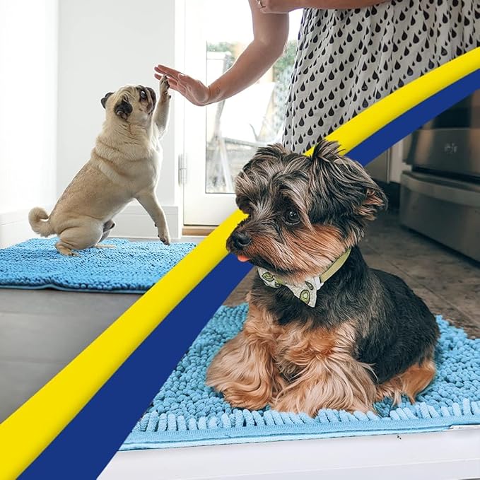 Muddy Mat® | Super Water Absorbent Door Mat Indoor, Microfiber Quick Dry Chenille Entryway Rug, Slip Resistant Front Door Mat, Indoor Mats for Entryway, Machine Washable Pet Rug, Sky Blue 32" x 40"