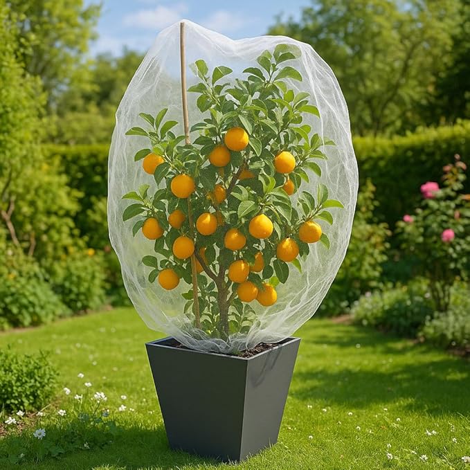 Fruit Tree Protection Bags 2.5x3.5 FT in 4 Pack | Multiple Size Garden Netting for Fruit & Vegetable Protection | White Plant Net Cover for Blueberry & Tomato | Bird & Insect Mesh Fabric Protector