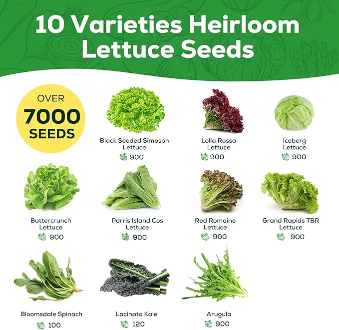 Heirloom Lettuce Seeds - 10 Varieties Lettuce Seeds for Planting - Includes Spinach, Kale, Arugula, Romaine, Iceberg, Buttercrunch & More, Home Garden & Hydroponic Seeds