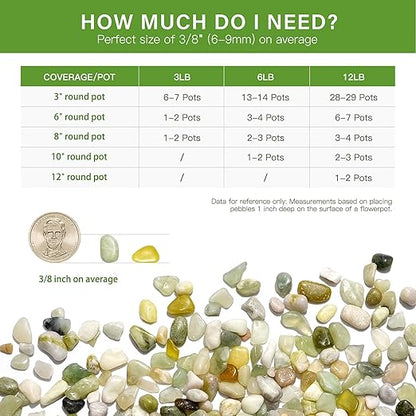 NUPICK 12 lbs Pebbles for Indoor Plants, 3/8 Inch Pea Gravel for Fish Tank, Polished Decorative Rocks for Succulent, Natural River Stones for Vases, Cactus, Landscaping, Bird Bath, Aquarium, Jade