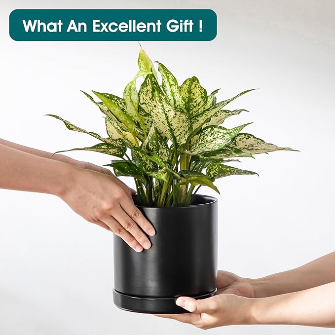 vancasso Ceramic Planters, Plant Pots for Indoor Plants, 6.25+8.25+10.25 Inch Ceramic Pots for Plants, Flower Pots with Drainage Holes (Black, 6.25+8.25+10.25 Inch)