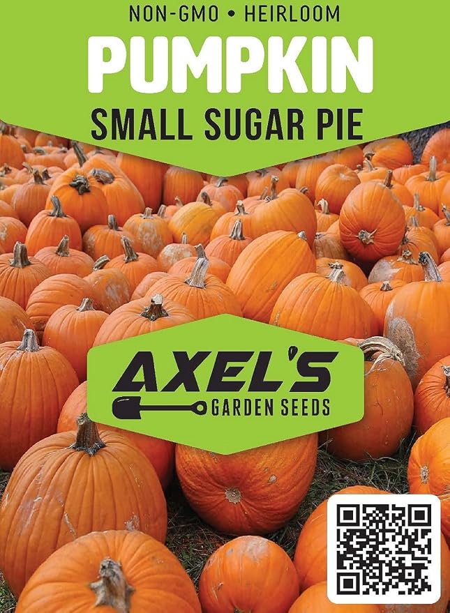 Small Sugar Pumpkin Seeds for Planting - Non-GMO Heirloom Packet with Instructions to Plant a Home Vegetable Garden - Great Gardening Gift - 25 Seeds Per Pack (5 Packets)