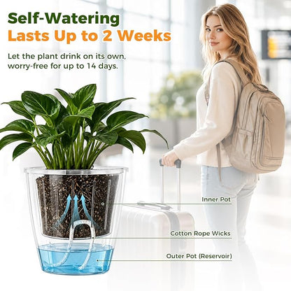 Clear Self Watering Pots for Indoor Plants, 6-Pack 6.7'' Clear Plant Pots with Drainage, Self Watering Planter, African Violet Pot, Semi Hydroponic Pot for Orchids, Flowers, Herbs