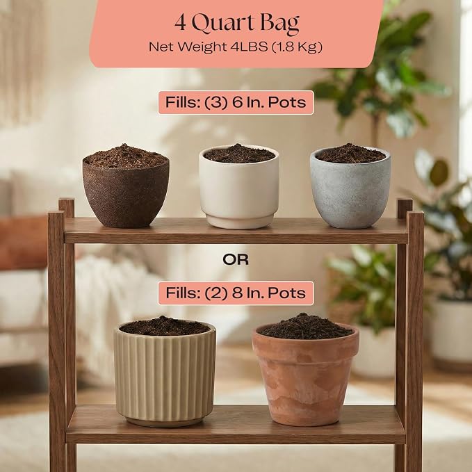 Rosy Soil Cactus & Succulent Potting Mix, 4qt | Organic Succulent Potting Soil, Chunky Fast Draining, Peat-Free, Root Boosting Mix, for AloeVera, Cacti, Indoor Succulents