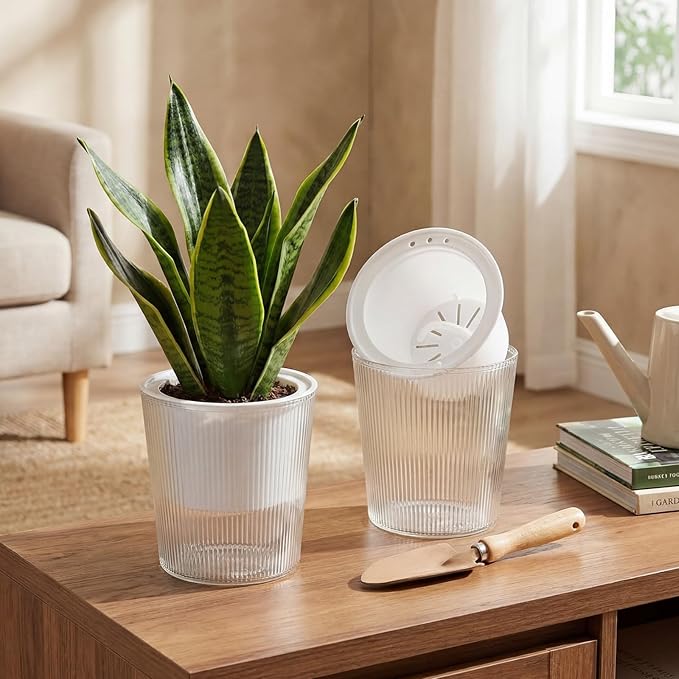 6 Pack Self Watering Pots for Indoor Plants Plastic Vertical Ribbed Semi Transparent Planters, Dual Layer Reservoir for Indoor Succulents Herbs Pothos(Clear, White,4 x 4.3 Inch)