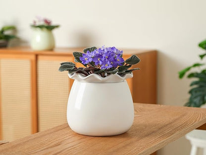 Fayoula Self Watering Plant Pot, 6 Inch African Violet Pots Maintenance, Ceramic Self-Watering Planter for Indoor Plants - Ideal Flower Pot for Thriving Indoor Gardens, White
