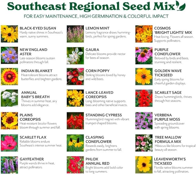 Grow Your Own Vibrant Annual and Perennial Wildflower Garden Seeds Mixture, Varieties for Pollinators and Spring Gardens - Southeast Regional Mix, 10 lbs