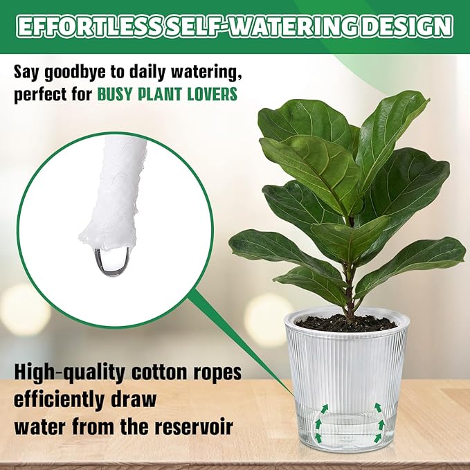 6 Pack Self Watering Pots for Indoor Plants Plastic Vertical Ribbed Semi Transparent Planters, Dual Layer Reservoir for Indoor Succulents Herbs Pothos(Clear, White,4.4 x 4.9 Inch)