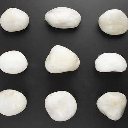 River Rocks - Natural Polished White Pebbles, 2-3 inches, 10 lbs - Ideal for Patio Landscaping, Rock Gardens, Succulent Arrangements, and Pathway Edging (White, Weight: 10 LB)