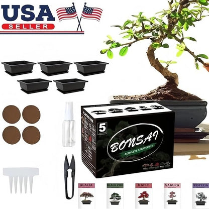 5 Bonsai Tree Kit Complete Plant Growing Tools, Grow in Pot Indoor Bonsai Tree Starter Kit