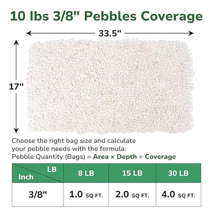 GreatBuddy 10-lb Decorative Rocks for Indoor Plants, 3/8" White Pebbles, Small Rocks for Potted Plants, Succulent, Vases, Aquariums, Fish Tanks, Garden Landscaping, Natural Polished