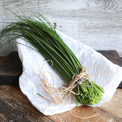 Seeds Chives Onion (Garlic Scapes) Green Non GMO Vegetable for Planting