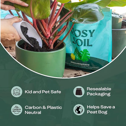 Rosy Soil Plant Parent Essentials Gift Box - Indoor Plant Kit & Gardening Tool Kit | Peat-Free Houseplant Soil, Terracotta Watering Bulb, Soil Scoop, Plant Brush - Gift for Plant Lovers