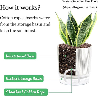Self Watering Pots for Indoor Plants, 6 & 5 & 4 Inch Stylish Flower Pots, Set of 3 Modern Planters with Self-Watering Feature (Black Stripes)