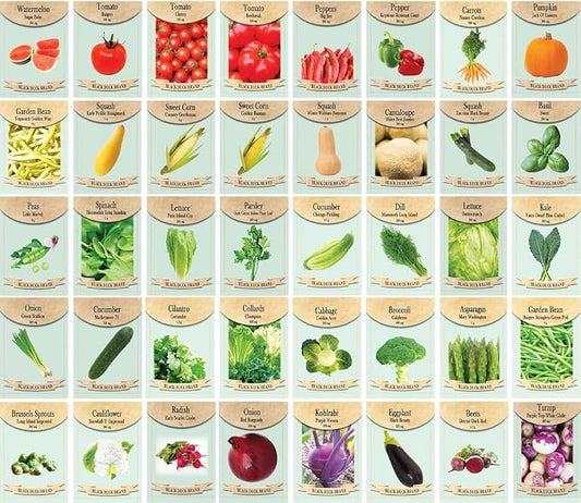 Black Duck Brand Set of 320 Vegetable and Herb Seeds - Semi Assorted - 100 Percent Non-GMO & Heirloom - Great for Starting a Garden! High Germination Rate! (320)